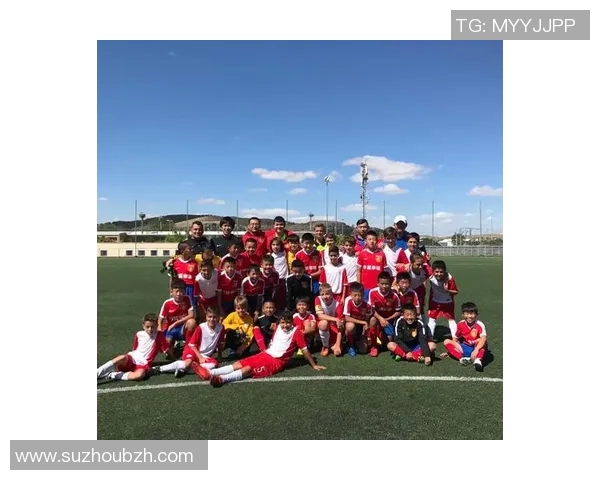 小小梦想家在绿茵场上崛起成足球巨星的成长故事