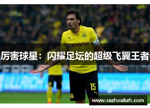 厉害球星：闪耀足坛的超级飞翼王者