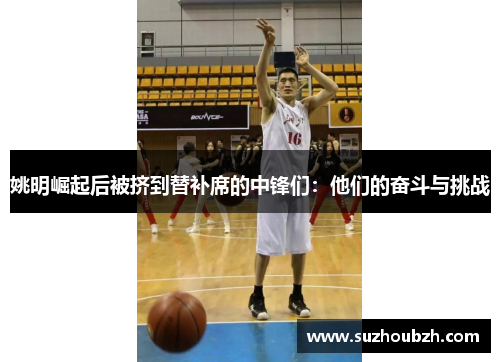 姚明崛起后被挤到替补席的中锋们：他们的奋斗与挑战