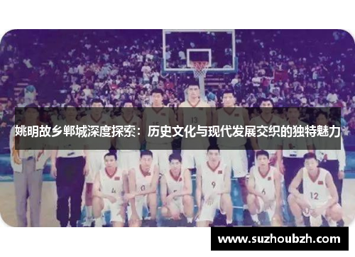 姚明故乡郸城深度探索：历史文化与现代发展交织的独特魅力