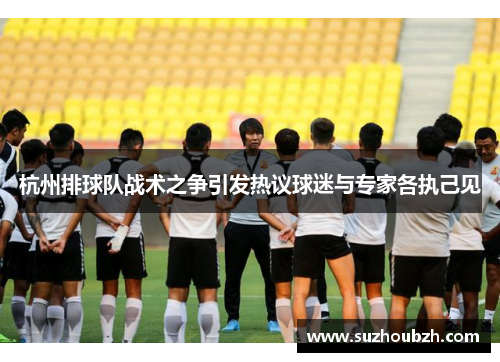 杭州排球队战术之争引发热议球迷与专家各执己见